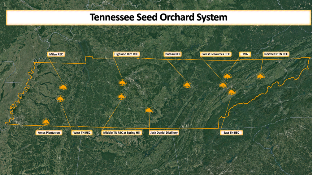 Tennessee Seed Orchard Map