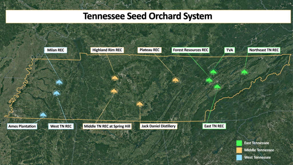 Tennessee Seed Orchard Map