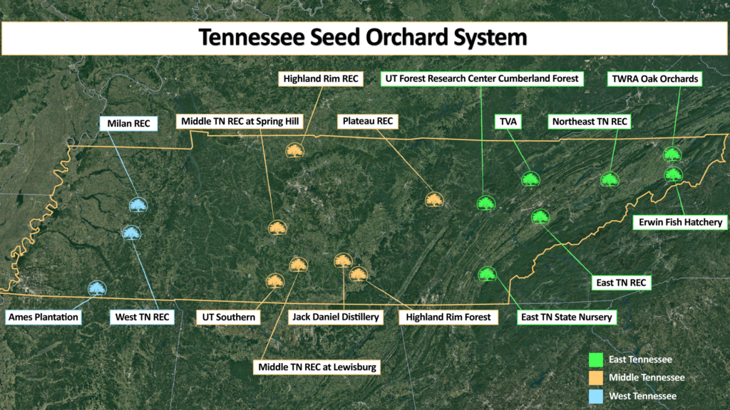 Tennessee Seed Orchard Map Image