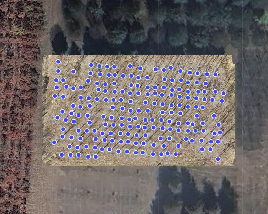Ames White Oak Orchard Drone Map with Waypoints marked