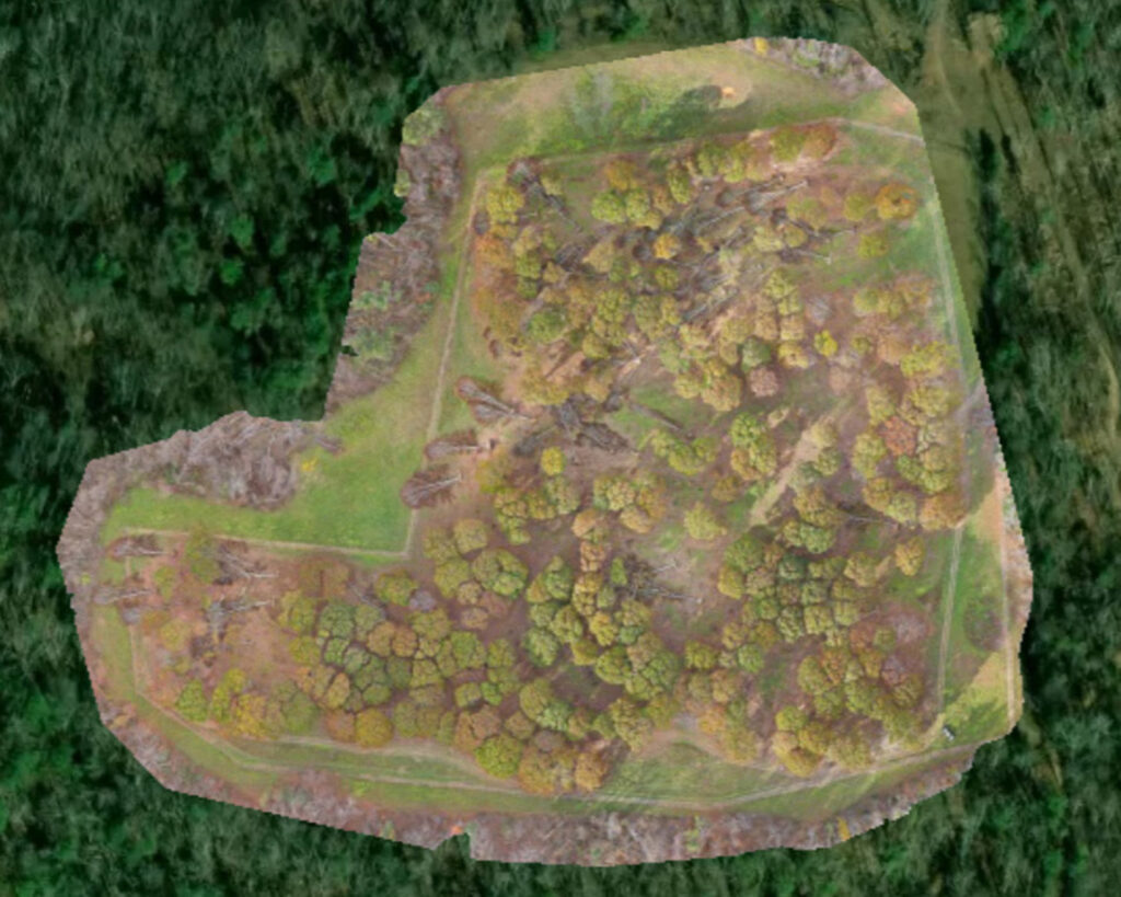 Watauga Northern Red Oak Orchard Helene Damage November 2024