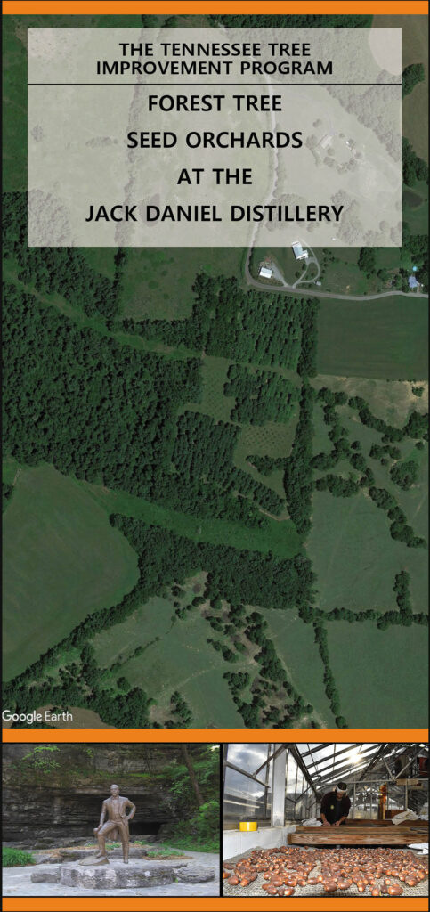 Forest Tree Seed Orchards at the Jack Daniel Distillery Brochure page 1