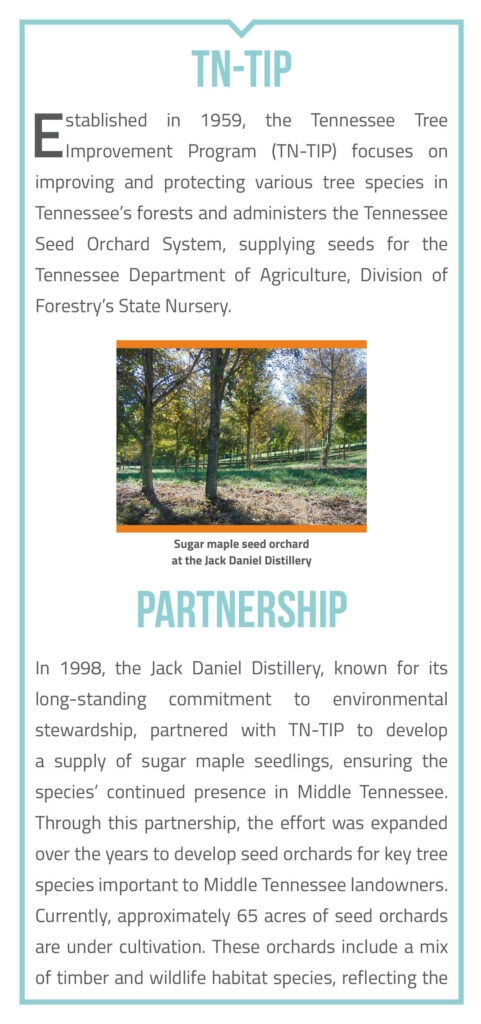 Forest Tree Seed Orchards at the Jack Daniel Distillery Brochure page 2