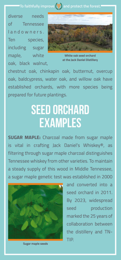 Forest Tree Seed Orchards at the Jack Daniel Distillery Brochure page 3