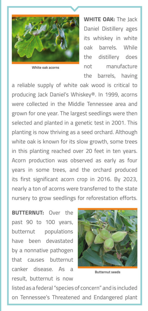 Forest Tree Seed Orchards at the Jack Daniel Distillery Brochure page 4