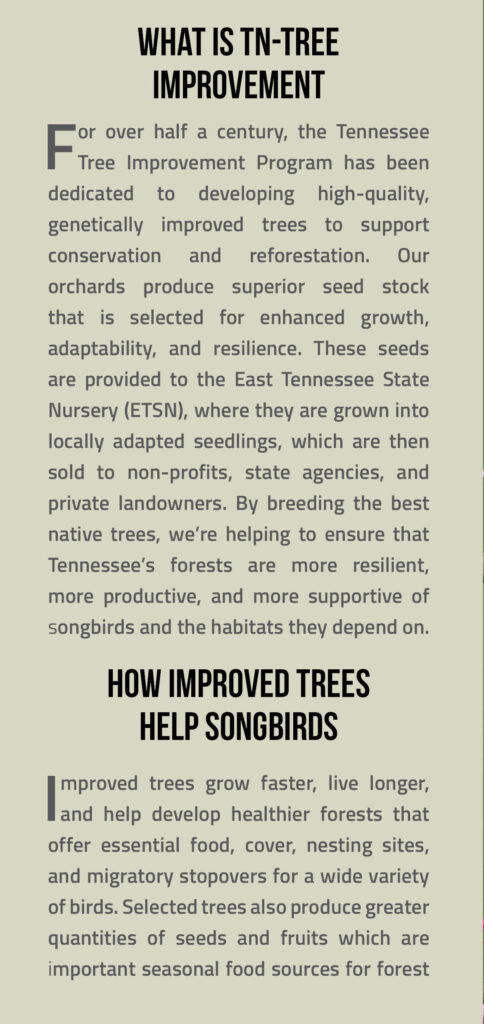 Songbird Brochure Page 2