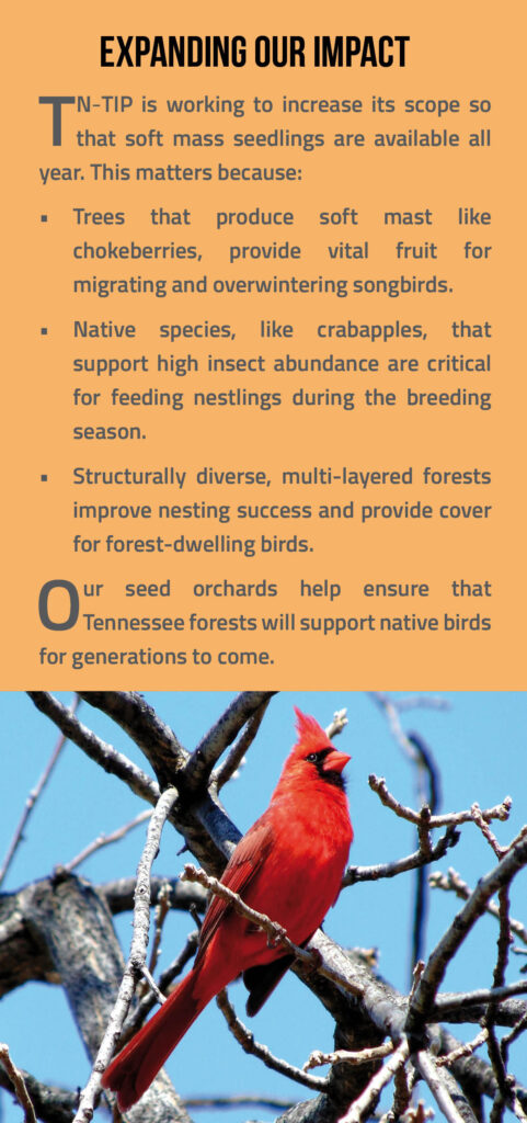 Songbird Brochure Page 5