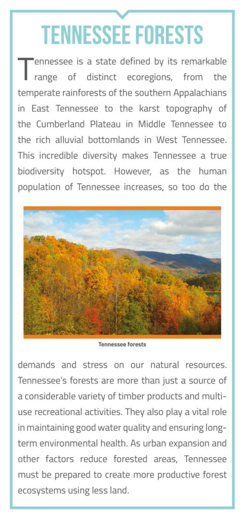 Tennessee Seed Orchard System Brochure page 2