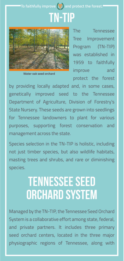 Tennessee Seed Orchard System Brochure page 3