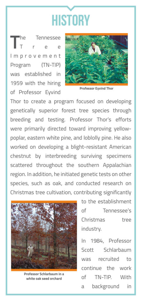 The University of Tennessee's Tree Improvement Program Brochure page 2