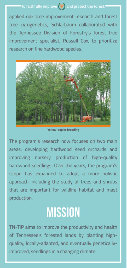 The University of Tennessee's Tree Improvement Program Brochure page 3