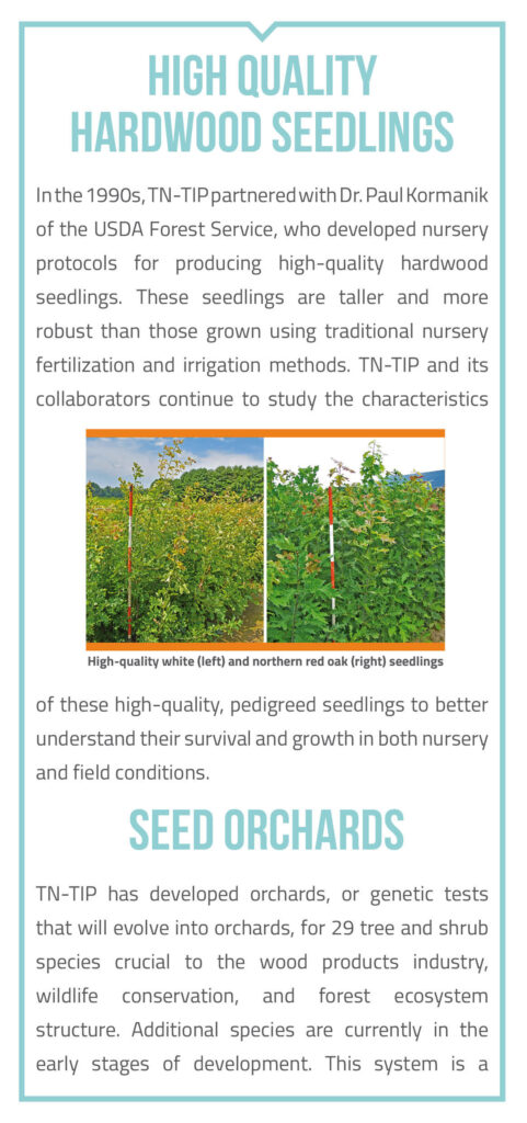 The University of Tennessee's Tree Improvement Program Brochure page 4