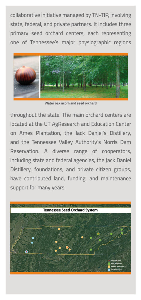 The University of Tennessee's Tree Improvement Program Brochure page 5