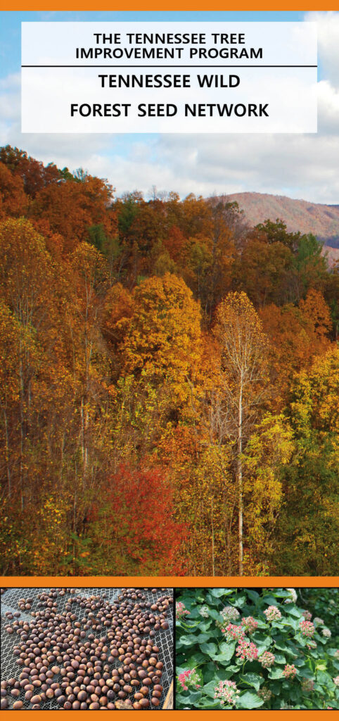 Tennessee Wild Forest Seed Network Brochure page 1