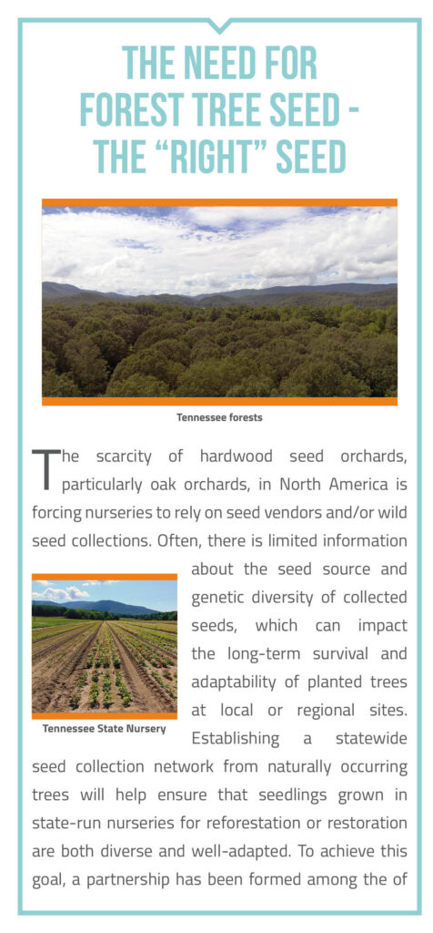 Margaret Finley Shackelford Hardwood Seed Orchard Brochure page 2