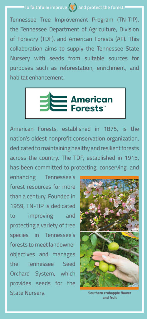 Tennessee Wild Forest Seed Network Brochure page 3