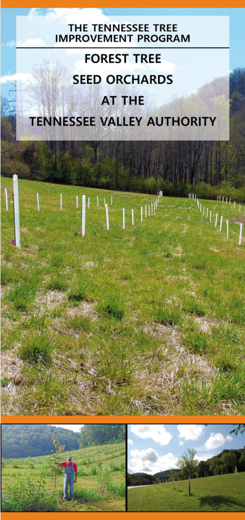Forest Tree Seed Orchards at the Tennessee Valley Authority Brochure page 1