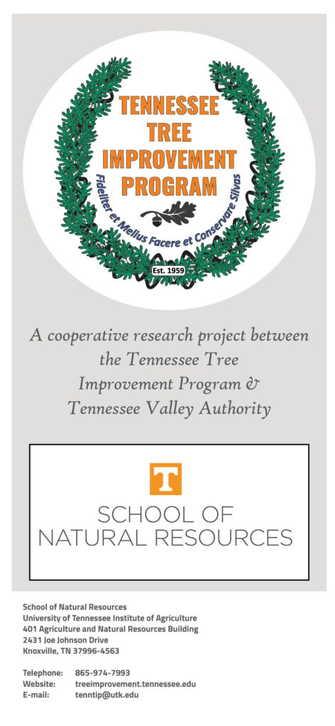 Forest Tree Seed Orchards at the Tennessee Valley Authority Brochure page 6