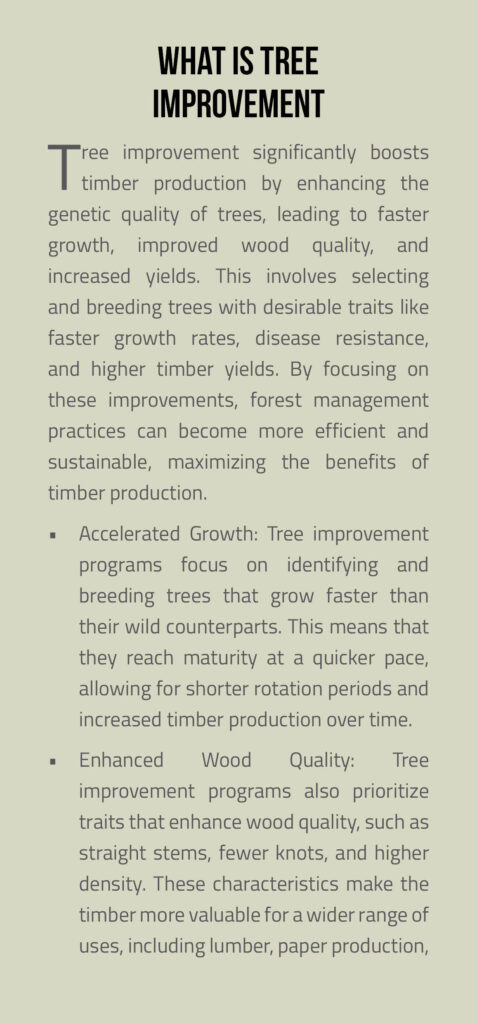 Timber Brochure Page 2