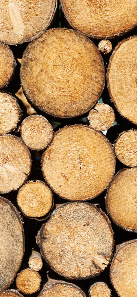 Timber Brochure Page 3