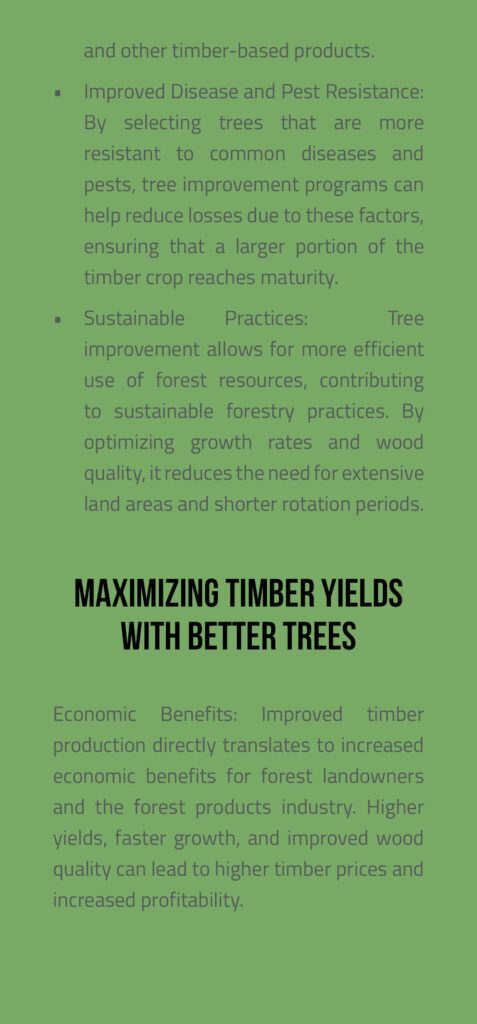 Timber Brochure Page 4