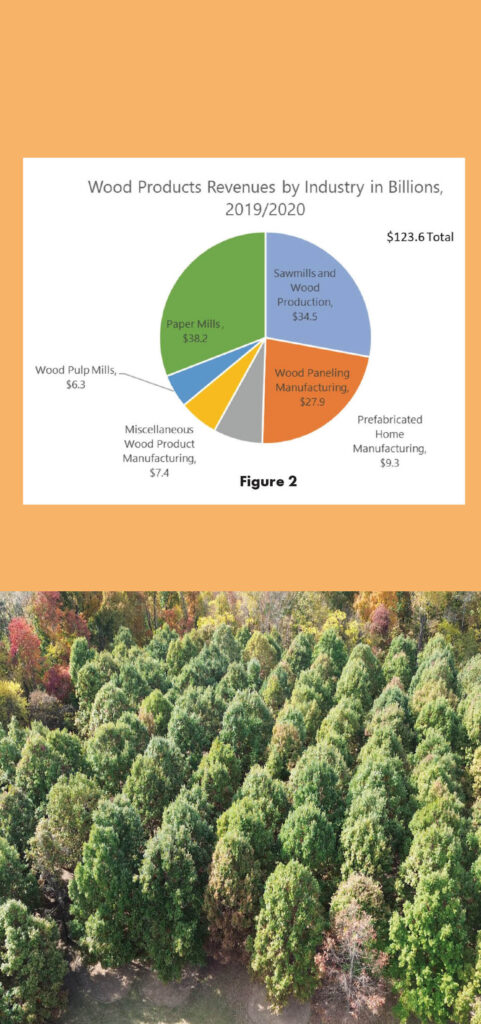 Timber Brochure Page 5
