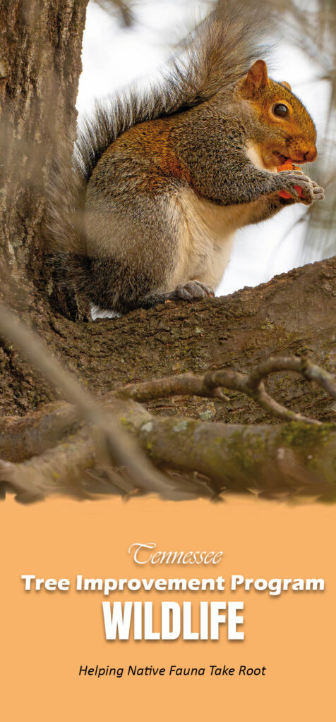 Wildlife Brochure Page 1