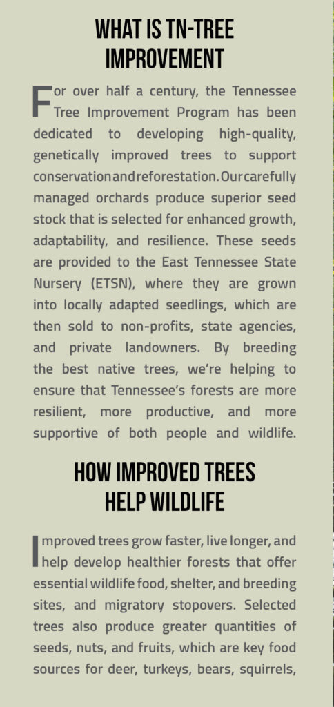 Wildlife Brochure Page 2