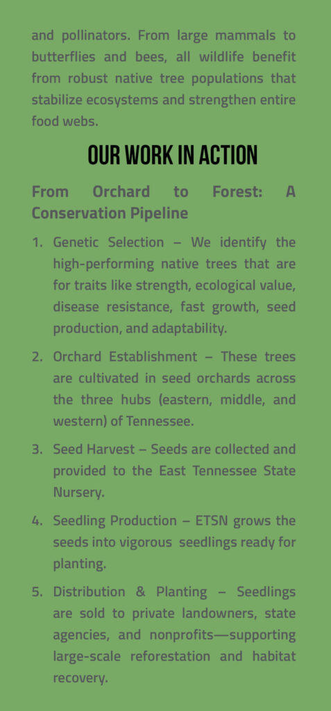 Wildlife Brochure Page 4