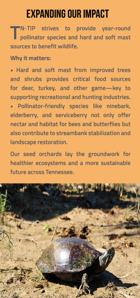 Wildlife Brochure Page 5